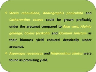  Stevia rebaudiana, Andrographis paniculata and
Catharanthus roseus could be grown profitably
under the arecanut compared to Aloe vera, Alpinia
galanga, Coleus forskohlii and Ocimum sanctum as
their biomass yield reduced drastically under
arecanut.
 Asparagus racemosus and Nilgirianthus ciliatus were
found as promising yield.
 