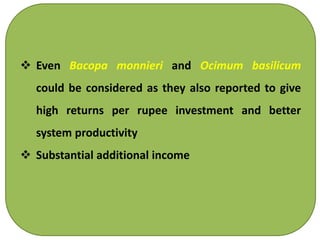  Even Bacopa monnieri and Ocimum basilicum
could be considered as they also reported to give
high returns per rupee investment and better
system productivity
 Substantial additional income
 