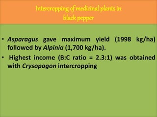 Intercropping of medicinal plants in
black pepper
• Asparagus gave maximum yield (1998 kg/ha)
followed by Alpinia (1,700 kg/ha).
• Highest income (B:C ratio = 2.3:1) was obtained
with Crysopogon intercropping
 