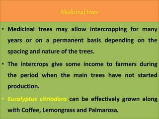Medicinal trees
• Medicinal trees may allow intercropping for many
years or on a permanent basis depending on the
spacing and nature of the trees.
• The intercrops give some income to farmers during
the period when the main trees have not started
production.
• Eucalyptus citriodora can be effectively grown along
with Coffee, Lemongrass and Palmarosa.
 