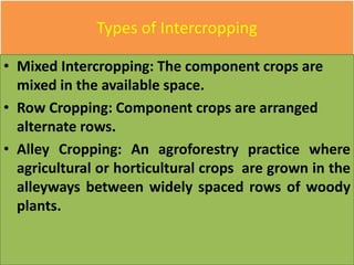 Types of Intercropping
• Mixed Intercropping: The component crops are
mixed in the available space.
• Row Cropping: Component crops are arranged
alternate rows.
• Alley Cropping: An agroforestry practice where
agricultural or horticultural crops are grown in the
alleyways between widely spaced rows of woody
plants.
 