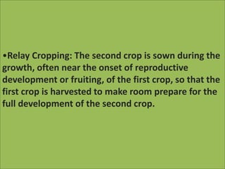 •Relay Cropping: The second crop is sown during the
growth, often near the onset of reproductive
development or fruiting, of the first crop, so that the
first crop is harvested to make room prepare for the
full development of the second crop.
 