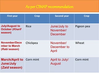 As per CIMAP recommendation
First year Crop Second year Crop
July/August to
October (Kharif
season)
Rice June/July to
November/
December
Pigeon pea
November/Dece
mber to March
(Rabi season)
Chickpea November/
December to
April
Wheat
March/April to
June/July
(Zaid season)
Corn mint April to July/
August
Corn mint
 