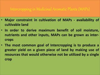Intercropping in Medicinal Aromatic Plants (MAPs)
• Major constraint in cultivation of MAPs - availability of
cultivable land
• In order to derive maximum benefit of soil moisture,
nutrients and other inputs, MAPs can be grown as inter-
crops
• The most common goal of Intercropping is to produce a
greater yield on a given piece of land by making use of
resources that would otherwise not be utilized by a single
crop
 