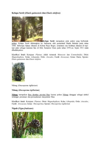 Kelapa Sawit (Elaeis guineensis dan Elaeis oleifera)
Kelapa Sawit merupakan jenis palem yang berbentuk
pohon. Kelapa Sawit didatangkan ke Indonesia oleh pemerintah Hindia Belanda pada tahun
1848. Beberapa bijinya ditanam di Kebun Raya Bogor, sementara sisa benihnya ditanam di tepi-
tepi jalan sebagai tanaman hias di Deli, Sumatera Utara pada tahun 1870-an. Sejak 1911 mulai
dibudidayakan.
Klasifikasi ilmiah: Kerajaan: Plantae; (tidak termasuk Monocots dan Commelinids); Divisi:
Magnoliophyta. Kelas: Liliopsida; Ordo: Arecales; Famili: Arecaceae; Genus: Elaeis; Spesies:
Elaeis guineensis dan Elaeis oleifera
Nibung (Oncosperma tigillarium)
Nibung (Oncosperma tigillarium)
Nibung merupakan flora identitas provinsi Riau karena pohon Nibung dianggap sebagai simbol
semangat persatuan dan persaudaraan masyarakat Riau
Klasifikasi ilmiah: Kerajaan: Plantae; Divisi: Magnoliophyta; Kelas: Liliopsida; Ordo: Arecales;
Famili: Arecaceae; Genus: Oncosperma; Spesies: Oncosperma tigillarium
Nipah (Nypa fruticans)
 