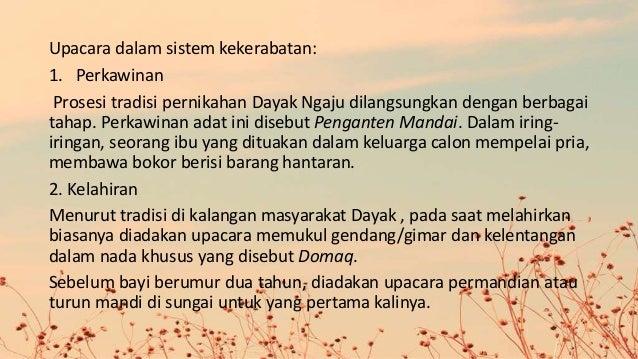 Suku Dayak Kalimantan