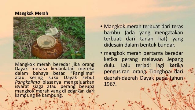 Suku Dayak Kalimantan