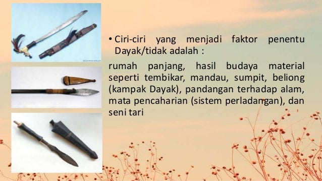 Suku Dayak Kalimantan