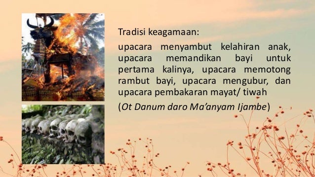 Suku Dayak Kalimantan