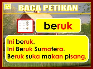 be ruk I ni  be ruk . I ni  Be ruk  Su ma te ra . Be ruk  su ka  ma kan  pi sang . BACA PETIKAN 