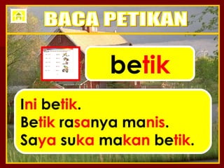 be tik I ni  be tik . Be tik  ra sa nya ma nis . Sa ya  su ka  ma kan  be tik . BACA PETIKAN 