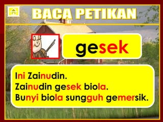 ge sek I ni  Zai nu din. Zai nu din ge sek  bio la . Bu nyi  bio la  sung guh  ge mer sik. BACA PETIKAN 