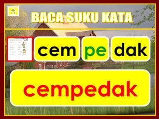 cem cempedak BACA SUKU KATA pe dak 