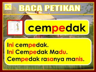 cem pe dak I ni  cem pe dak. I ni  Cem pe dak Ma du . Cem pe dak ra sa nya ma nis . BACA PETIKAN 