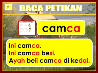 cam ca I ni  cam ca . I ni  cam ca  be si . A yah  be li  cam ca  di ke dai . BACA PETIKAN 