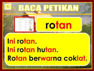 ro tan I ni  ro tan . I ni  ro tan  hu tan . Ro tan  ber war na cok lat . BACA PETIKAN 