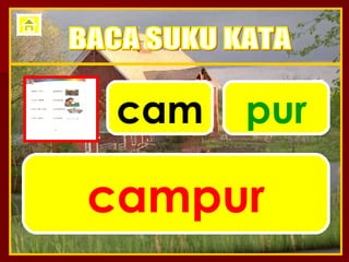 cam pur campur BACA SUKU KATA 