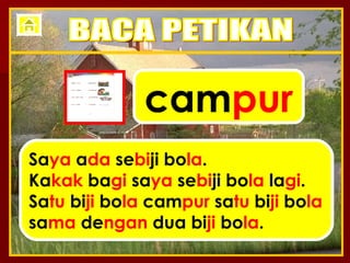 cam pur Sa ya  a da  se bi ji bo la . Ka kak  ba gi  sa ya  se bi ji bo la  la gi . Sa tu  bi ji  bo la  cam pur  sa tu  bi ji  bo la sa ma  de ngan  dua bi ji  bo la . BACA PETIKAN 