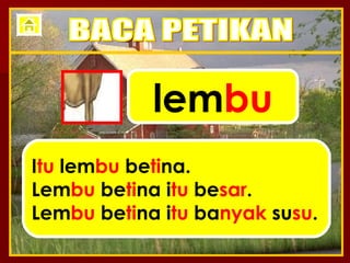 lem bu I tu  lem bu  be ti na. Lem bu  be ti na i tu  be sar . Lem bu  be ti na i tu  ba nyak  su su . BACA PETIKAN 