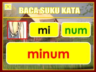 mi num minum BACA SUKU KATA 