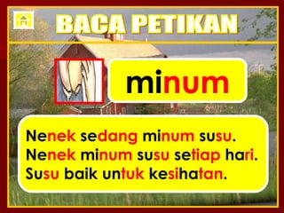 mi num Ne nek  se dang  mi num  su su . Ne nek  mi num  su su  se tiap  ha ri . Su su  baik un tuk  ke si ha tan . BACA PETIKAN 