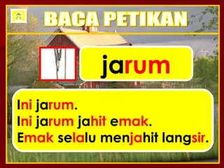 ja rum I ni  ja rum . I ni  ja rum  ja hit  e mak . E mak  se la lu men ja hit lang sir . BACA PETIKAN 