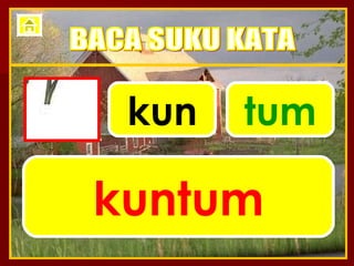 kun tum kuntum BACA SUKU KATA 