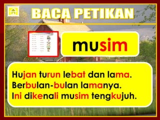 mu sim Hu jan  tu run  le bat  dan la ma . Ber bu lan- bu lan la ma nya. I ni  di ke na li  mu sim  teng ku juh. BACA PETIKAN 