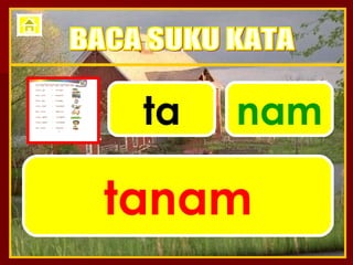 ta nam tanam BACA SUKU KATA 