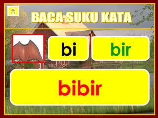 bi bir bibir BACA SUKU KATA 