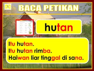 hu tan I tu  hu tan . I tu  hu tan  rim ba . Hai wan  liar ting gal  di sa na . BACA PETIKAN 