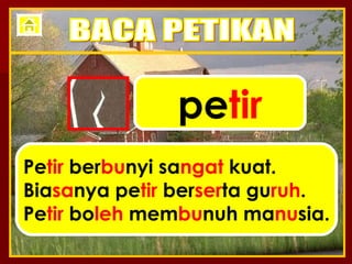 pe tir Pe tir  ber bu nyi sa ngat  kuat. Bia sa nya pe tir  ber ser ta gu ruh . Pe tir  bo leh  mem bu nuh ma nu sia. BACA PETIKAN 