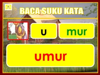 u mur umur BACA SUKU KATA 