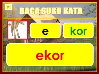 e kor ekor BACA SUKU KATA 