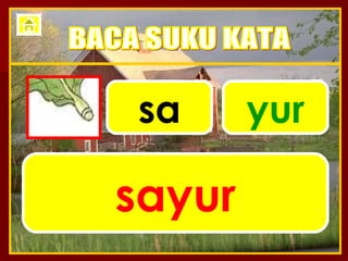 sa yur sayur BACA SUKU KATA 