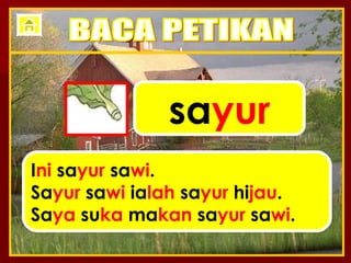 sa yur I ni  sa yur  sa wi . Sa yur  sa wi  ia lah  sa yur  hi jau . Sa ya  su ka  ma kan  sa yur  sa wi . BACA PETIKAN 