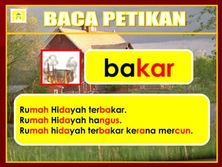 ba kar Ru mah  Hi da yah ter ba kar. Ru mah  Hi da yah ha ngus . Ru mah  hi da yah ter ba kar ke ra na mer cun . BACA PETIKAN 