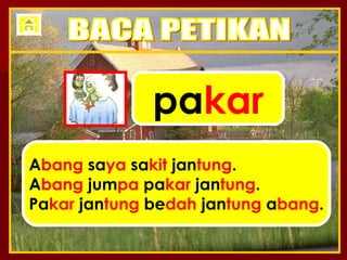 pa kar A bang  sa ya  sa kit  jan tung . A bang  jum pa  pa kar  jan tung . Pa kar  jan tung  be dah  jan tung  a bang . BACA PETIKAN 