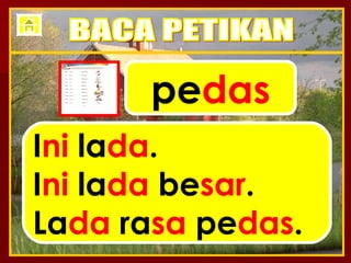 pe das I ni  la da . I ni  la da  be sar . La da  ra sa  pe das . BACA PETIKAN 