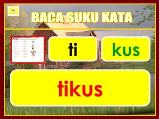 ti kus tikus BACA SUKU KATA 