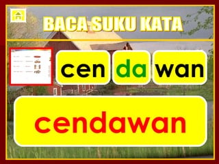 cen cendawan BACA SUKU KATA da wan 