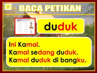 du duk I ni  Ka mal . Ka mal  se dang  du duk . Ka mal  du duk  di bang ku . BACA PETIKAN 