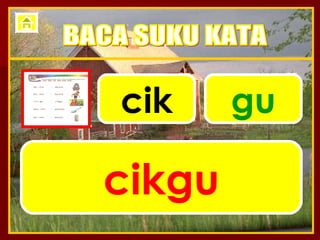 cik gu cikgu BACA SUKU KATA 