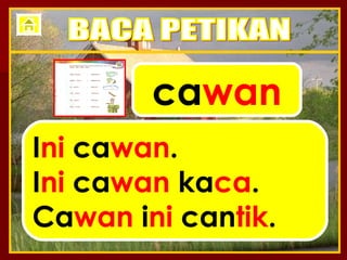 ca wan I ni  ca wan . I ni  ca wan  ka ca . Ca wan  i ni  can tik . BACA PETIKAN 