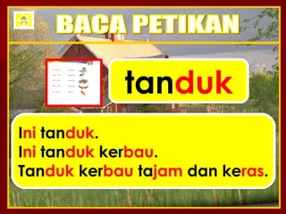 tan duk I ni  tan duk . I ni  tan duk  ker bau . Tan duk  ker bau  ta jam  dan ke ras . BACA PETIKAN 