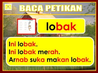 lo bak I ni  lo bak . I ni  lo bak  me rah . Ar nab  su ka  ma kan  lo bak . BACA PETIKAN 