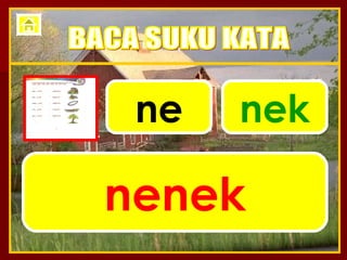 ne nek nenek BACA SUKU KATA 