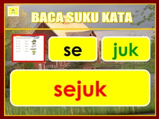 se juk sejuk BACA SUKU KATA 