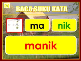 ma nik manik BACA SUKU KATA 