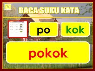 po kok pokok BACA SUKU KATA 